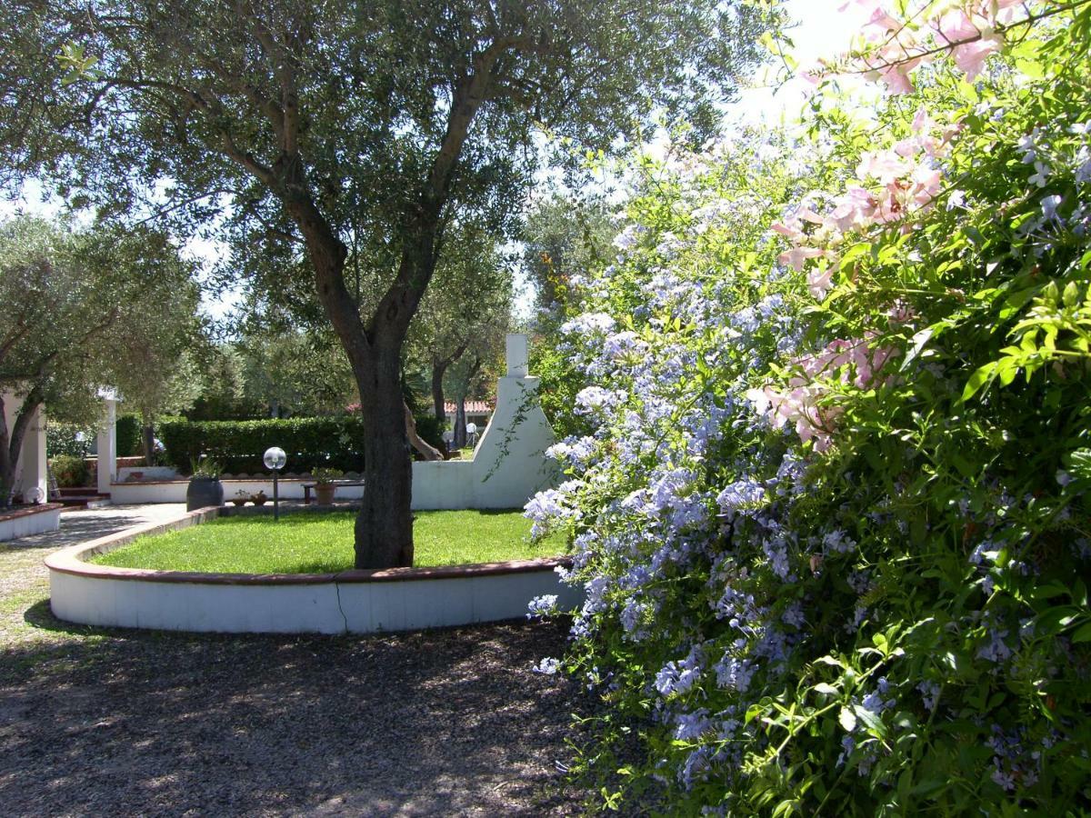 Villa Sarda سورسو المظهر الخارجي الصورة